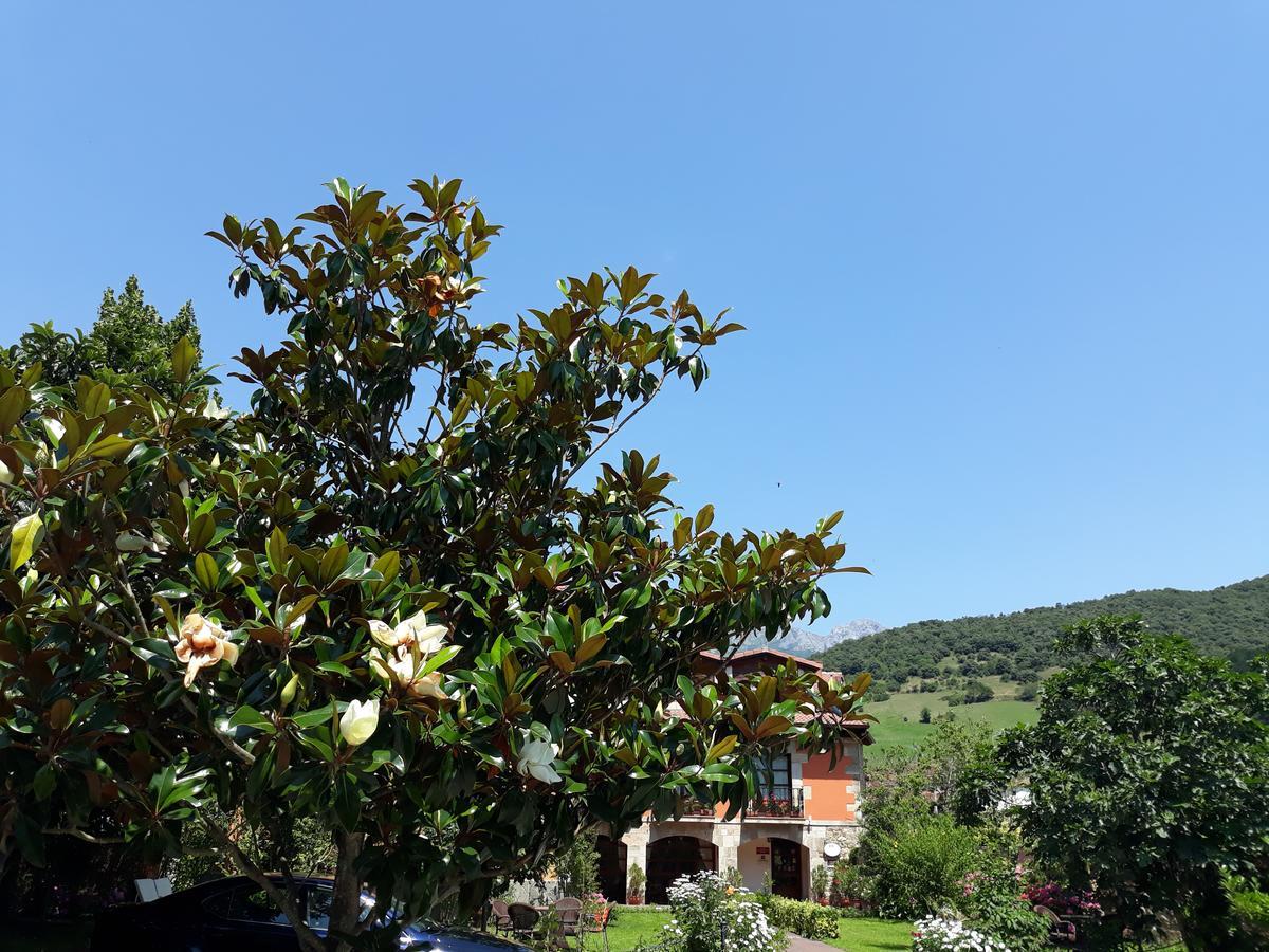 Posada Laura Potes Ngoại thất bức ảnh